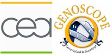 CEA-Genoscope
